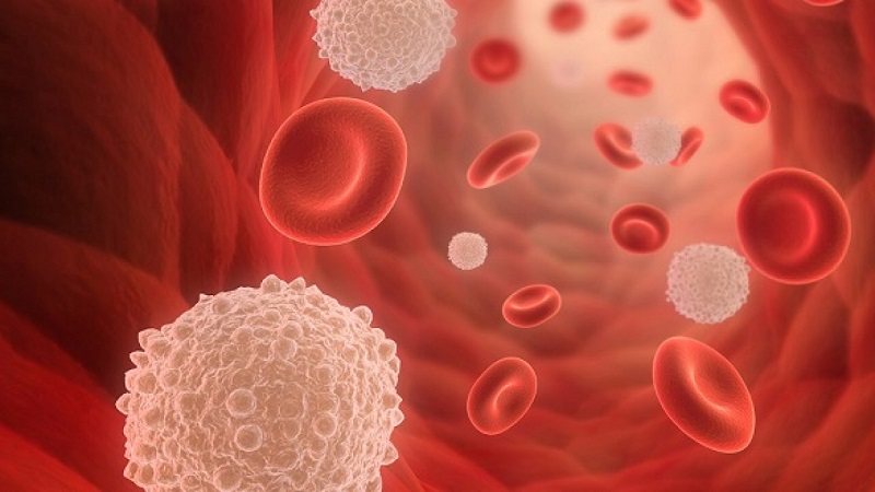 Chỉ số WBC trong xét nghiệm máu là gì và lý do thực hiện?